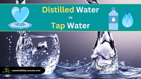 tap water vs water